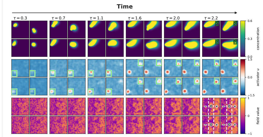 LatentFlow: A General Framework for Conditioning Stochastic Processes