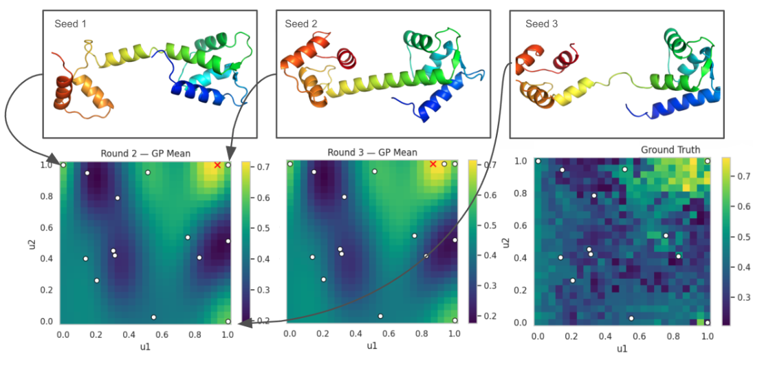 How to Spend Your Oracle Budget: Practical Guidance for Protein Structure Foundation Models